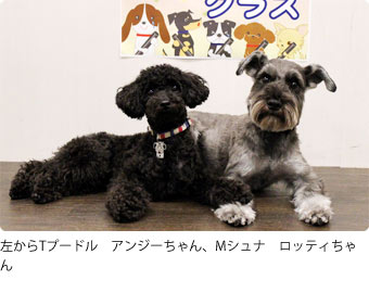 第32回アダルトクラス