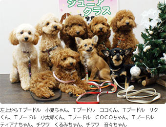 第60回ジュニアクラス