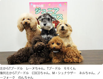 第70回ジュニアクラス