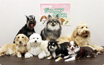 ジュニアクラス