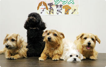 ジュニアクラス