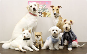 ジュニアクラス