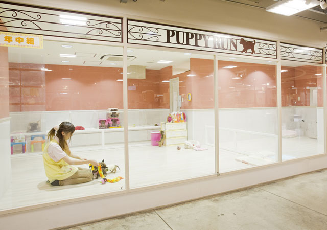 ããã¼ã©ã³