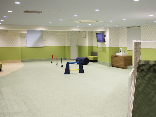 室内ドッグラン