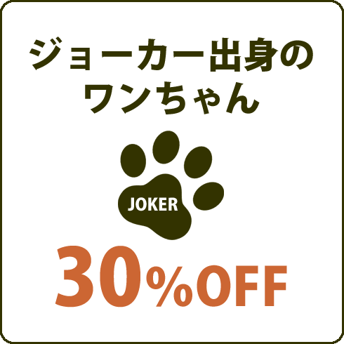 ジョーカー出身のワンちゃん30%オフ