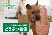 アニコム損害保険株式会社