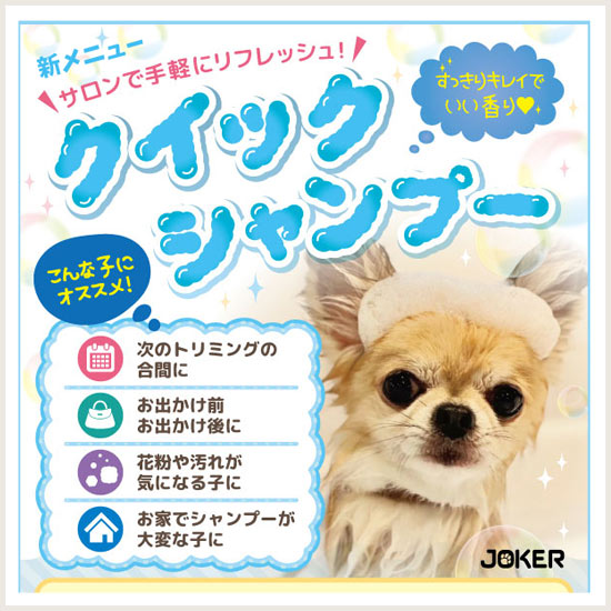 クイックシャンプー