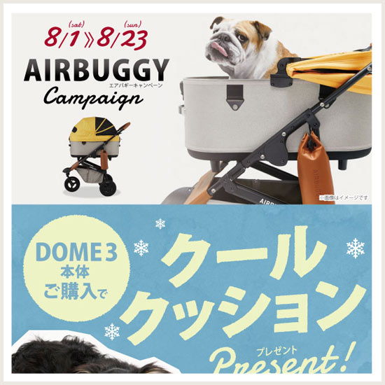 エアバギーキャンペーン