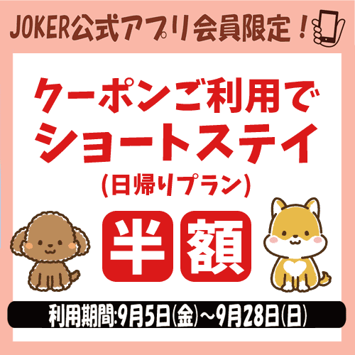 アプリキャンペーン