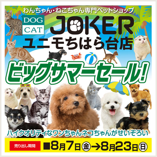 ちはら台セール