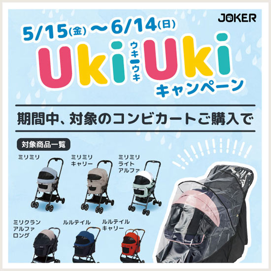 コンビキャンペーン