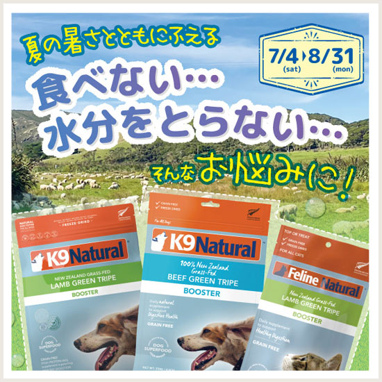 K9キャンペーン