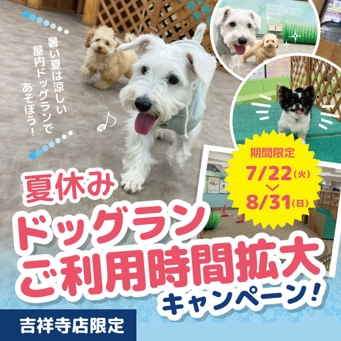 吉祥寺ドッグラン
