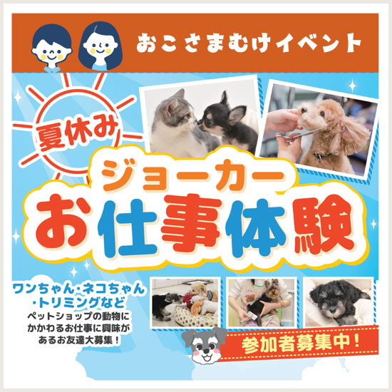 お仕事体験