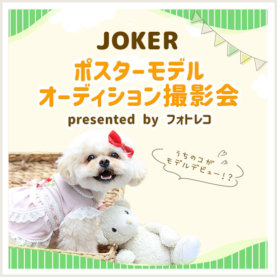 フォトレコ撮影会