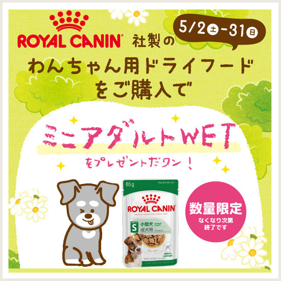 ロイヤルカナン