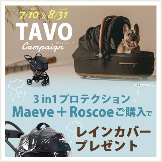 tavoキャンペーン