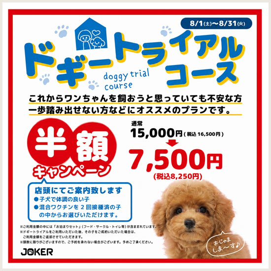 ドギートライアル