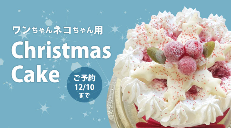 クリスマスケーキ