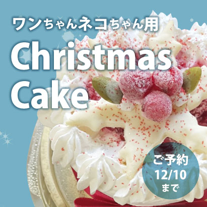 クリスマスケーキ
