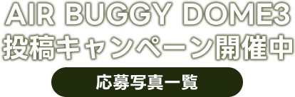 エアバギー投稿キャンペーン