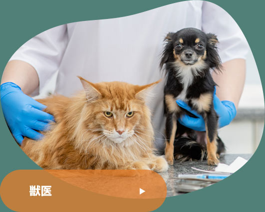 獣医