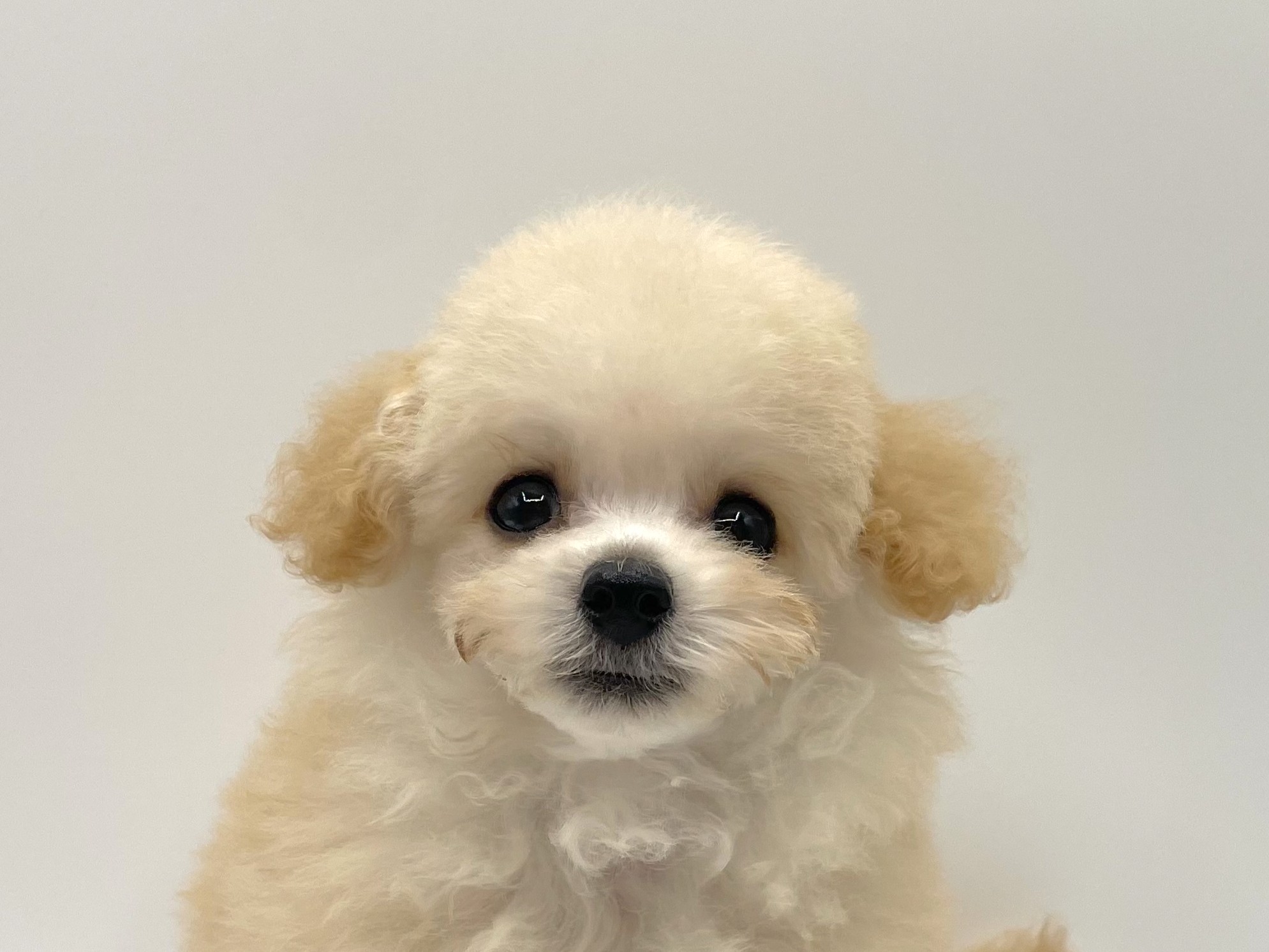 61899