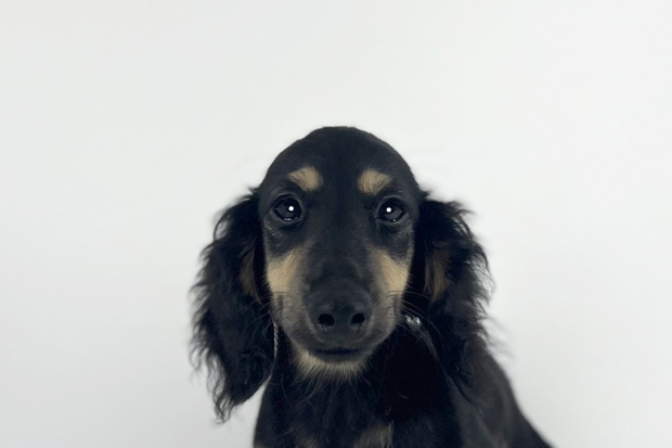 61961