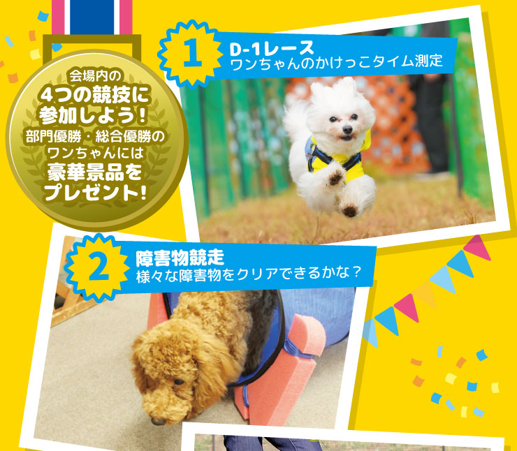 鉄ワンドッグフェスタ