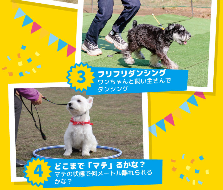 鉄ワンドッグフェスタ