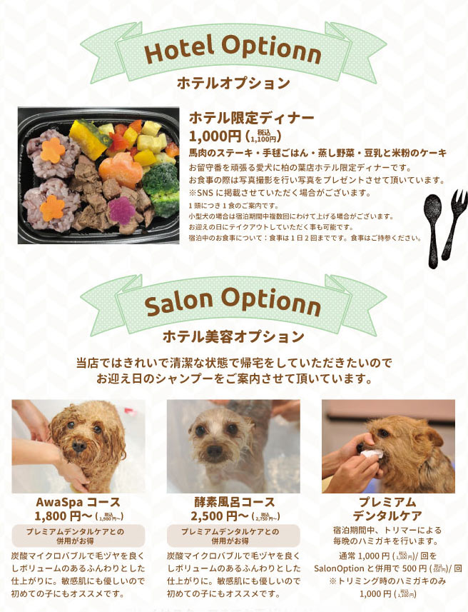 ホテル美容オプション