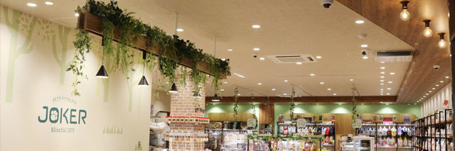 DOG&CAT JOKER 樹モールプラザ川口店の店舗写真