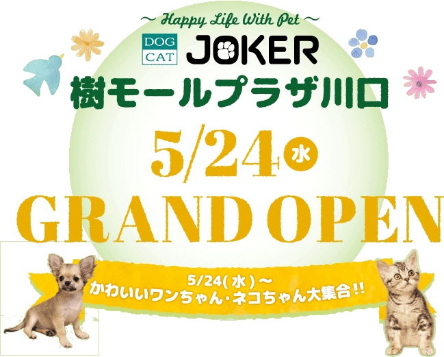 樹モールプラザ川口グランドオープン