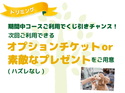 トリミング