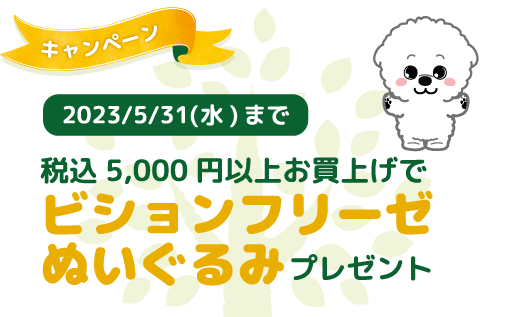 ビションぬいぐるみプレゼント