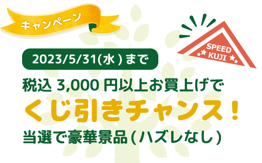 くじ引きチャンス