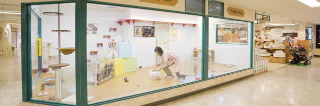 の店舗写真