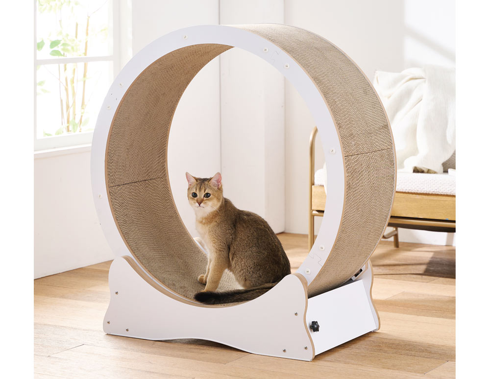 キャットホイールホワイト80