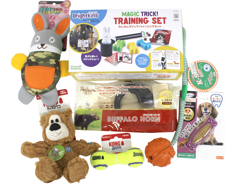 犬と月　ボディボード 2枚セット　大阪手渡し可能！ おもちゃベストセレクションBセット ｜犬猫用福袋｜ペット