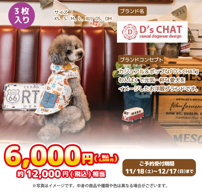 Dsチャット