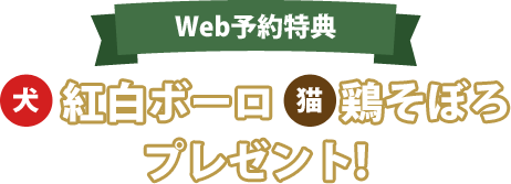 web予約特典