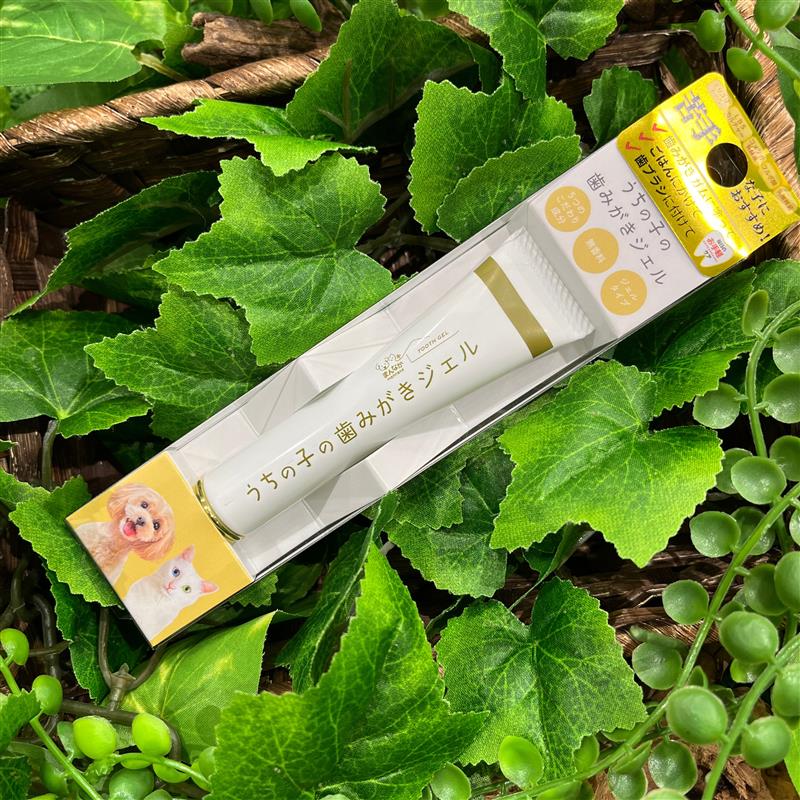 歯みがきジェル