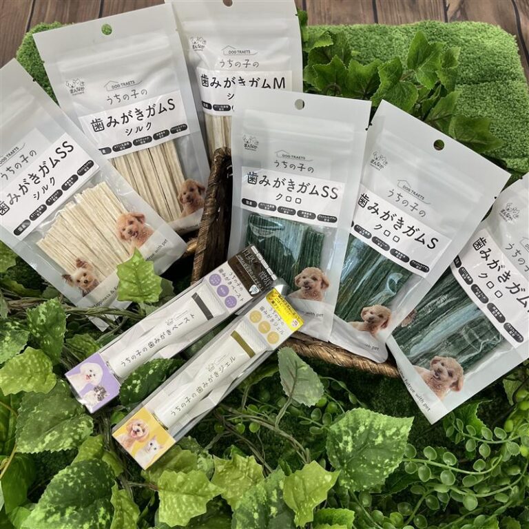 うちの子の歯みがきガム(シルク/クロロ)