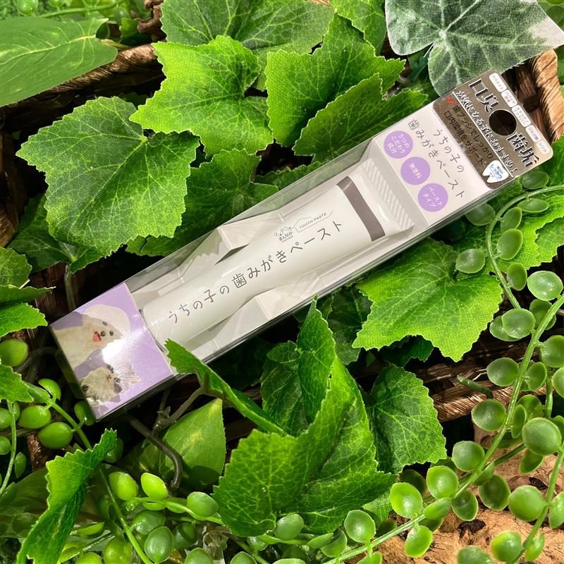 歯みがきペースト