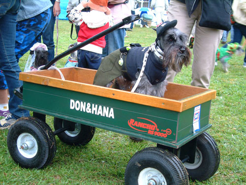 2002