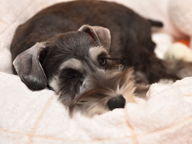 一時お預かりサービス