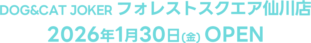 DOG&CAT JOKER フォレストスクエア仙川オープン