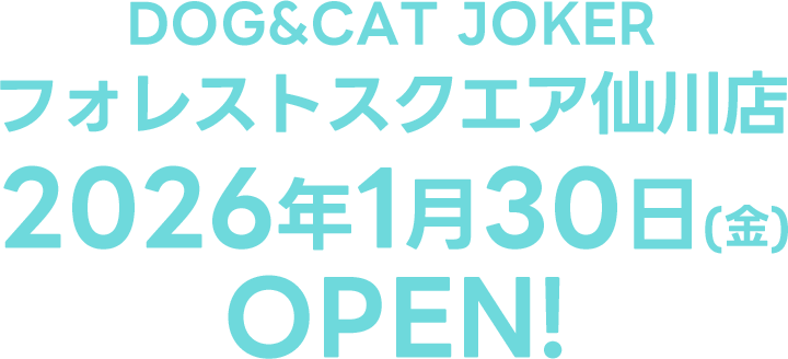DOG&CAT JOKER フォレストスクエア仙川オープン