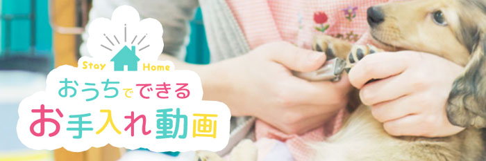 ãå®¶ã§ã§ãããæå¥ãåç»