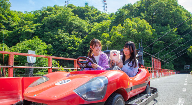 わんちゃんと一緒に挑戦！